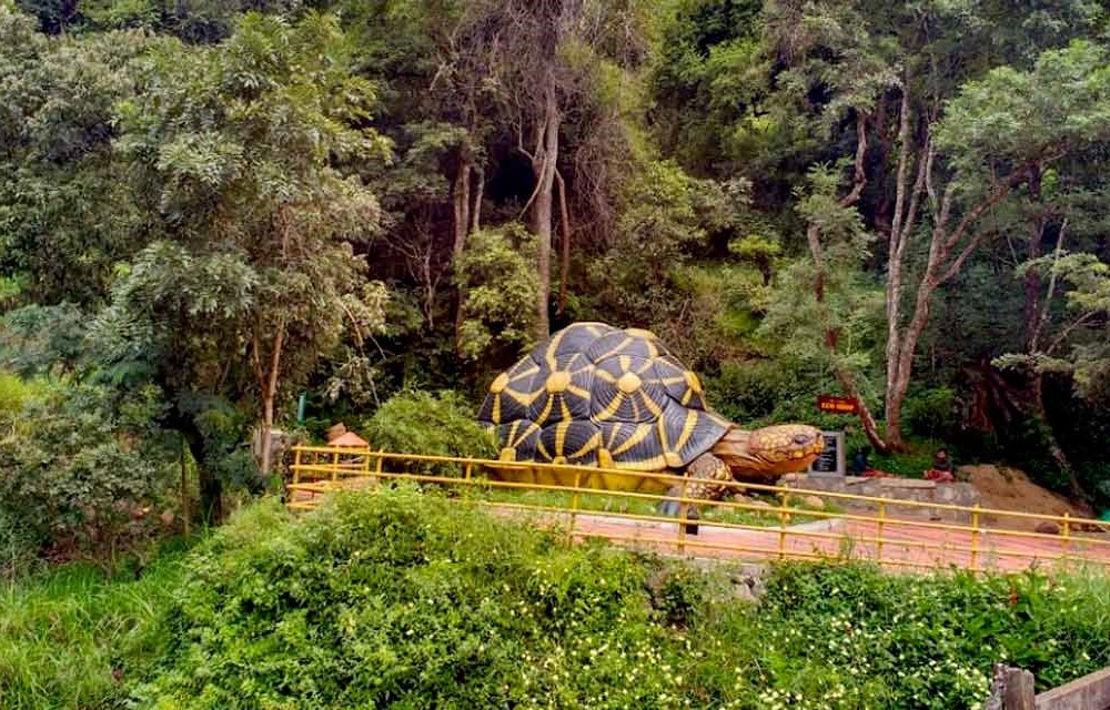 Great Escapes Resort