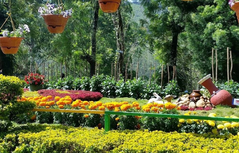 Great Escapes Resort