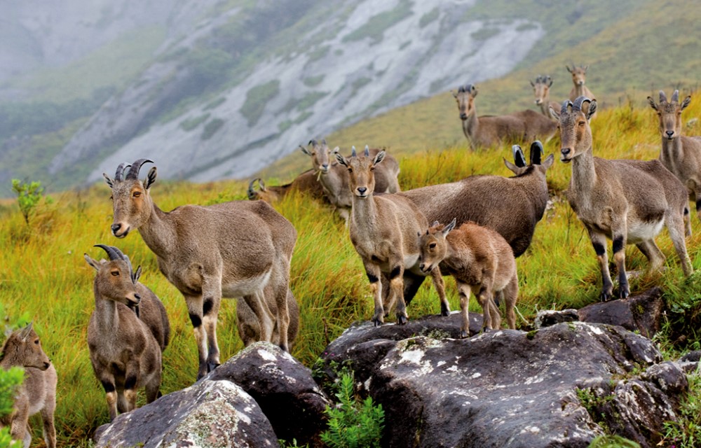 Great Escapes Resort