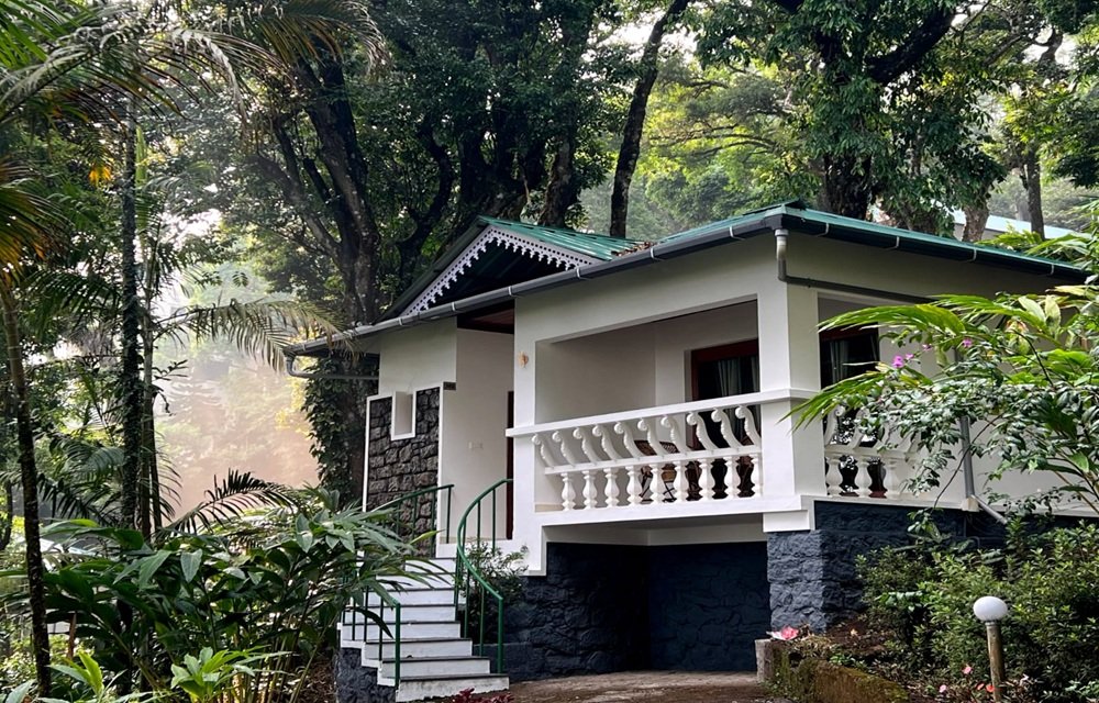Gallery Pictures